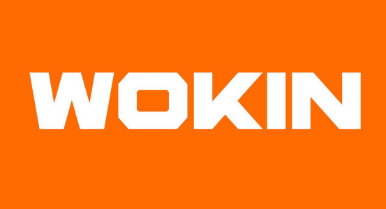 Logo: WOKIN